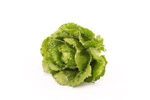 VERODITA RZ (41-115) product photo