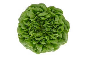 HILBERT RZ product photo