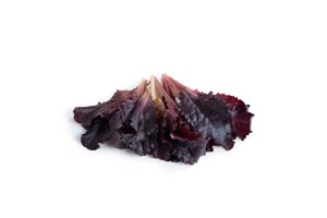 ALESI RZ product photo