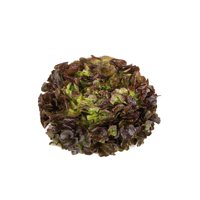 BALAKAI RZ (83-OA5181) product photo