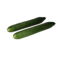 CARAPAZ RZ F1 (24-HT014) product photo