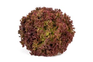 ROONEY RZ product photo