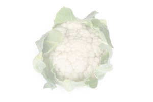 FLORENCE RZ F1  product photo