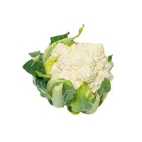 PONTBLANC RZ product photo
