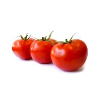 CHANTUS RZ F1 product photo