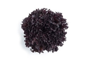 NANEDI RZ product photo