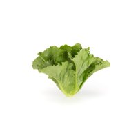 CORONITA RZ (41-607) product photo