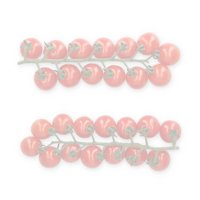 نانسي آر - زد product photo