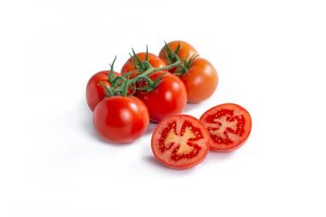PONTAL RZ F1 product photo