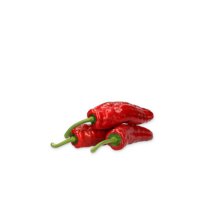 PALERMO RAMSEY RZ F1 product photo