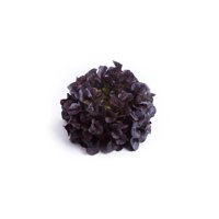 XODOS RZ product photo