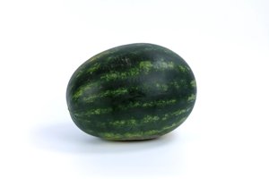 MERENS RZ F1 product photo