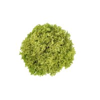 VICINITY RZ (79-82) product photo