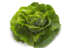 FAUSTINA RZ (43-38) product photo