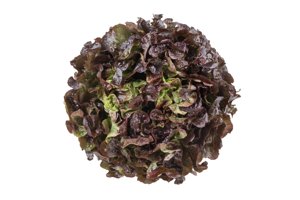 BALAKAI RZ product photo