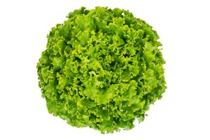 HISTRION RZ (81-175) product photo