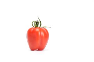 PAPELETTO RZ F1 product photo