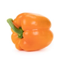 TITO RABAT RZ F1 product photo