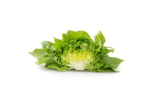 NORANDIA RZ product photo
