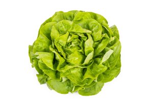 DANUBIA RZ product photo