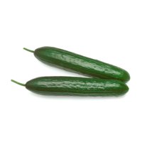PRINCESTAR RZ F1 product photo