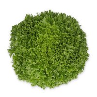 EXWINK RZ product photo