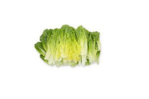 KOBUKA RZ (79-ML7593) Knox™ product photo
