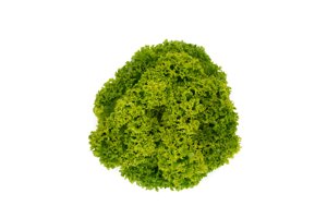 LISBOA RZ product photo