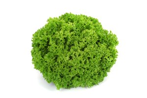 LINARO RZ (85-14) product photo