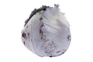 REXOMA RZ F1 product photo