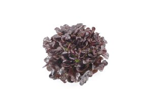 КСАНДРА РЦ  product photo