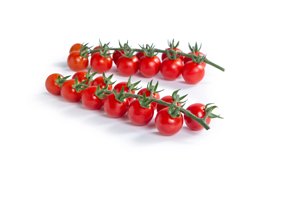 72-CH0364 Hateno product photo