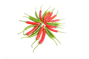 厄波斯(37-43)Erebus product photo