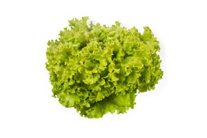 JONCTION RZ product photo