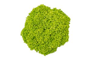 LIMEIRA RZ product photo