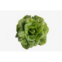 SAMPEDRO RZ product photo