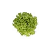 86-LE2027 RZ  product photo