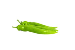 天寻1663(37-BU1663)Tanshu 1663 product photo
