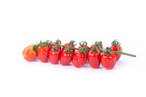 REDETTO RZ F1 (72-174) product photo