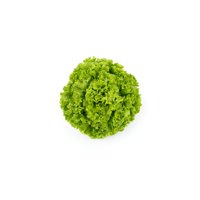 OLMETIE RZ product photo