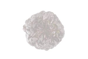 MANET RZ product photo