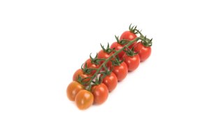 SUGARINO RZ F1 (74-119) product photo