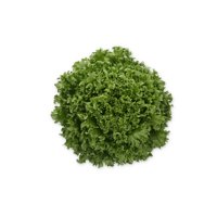 CRYSTIQUE RZ (44-CL1573) Knox™ product photo