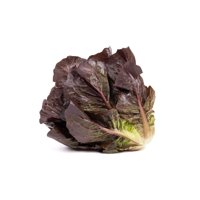 41-CO3180 Knox™ product photo