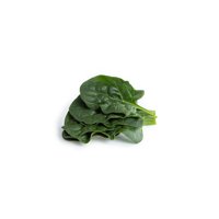 SHEARWATER RZ F1 product photo