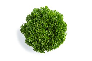 EXBUL RZ product photo