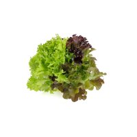 Salatriomix 3 (3x25tpc) product photo