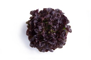 TOTALAI RZ product photo