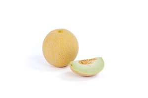 TELENO RZ F1 product photo
