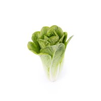 CERCAS RZ (41-CO1636) Knox™ product photo